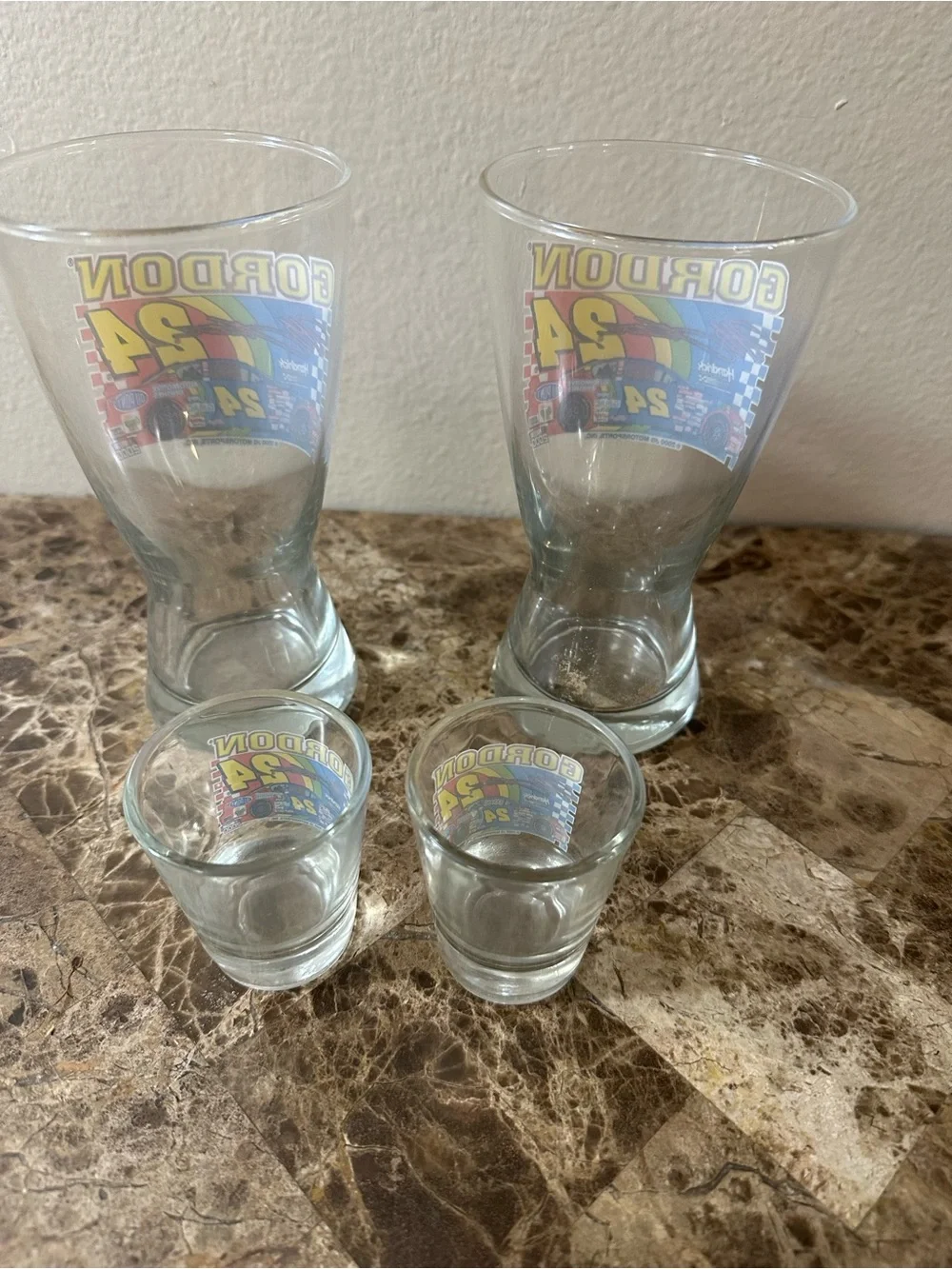 Jeff Gordon #24 Nascar Drinking And Shot Glass Set